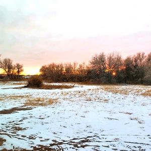 Meet your Posher, Ann